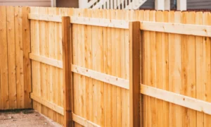 newly installed wooden fence in backyard newly installed wooden fence in backyard